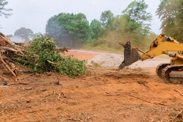 Cost of Forestry Mulching Service in Reno