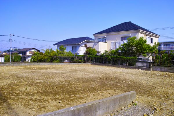 Cost of Lot Clearing Service in Reno