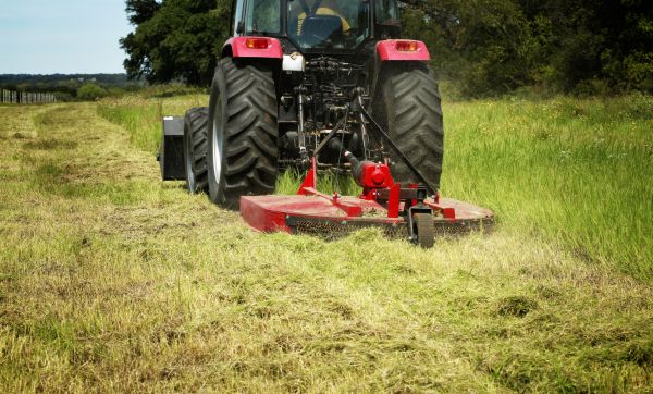 Cost of Brush Clearing Service in Reno