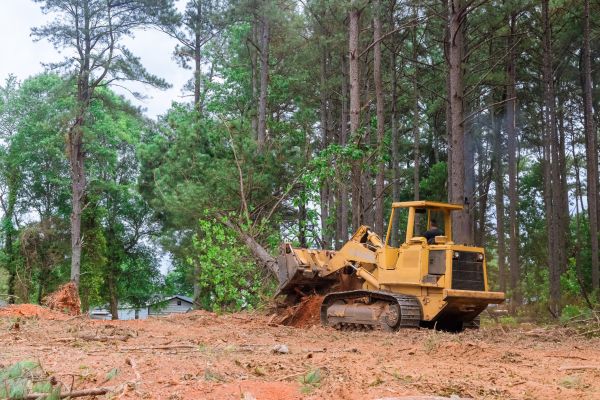Cost of Property Clearing in Reno
