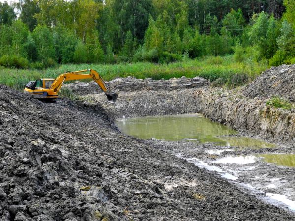 Cost of Lake Lot Clearing in Reno