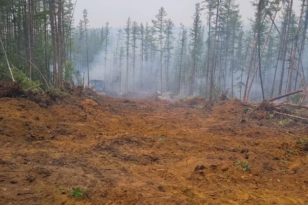 Cost of Hill Clearing in Reno
