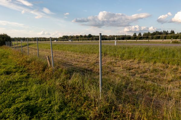 Cost of Property Line Clearing in Reno