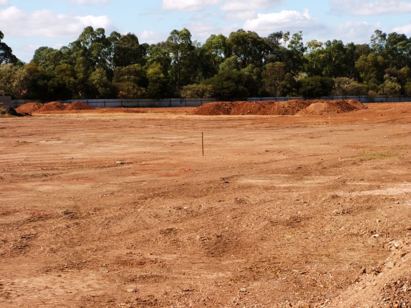 Site Preparation Post-Clearing